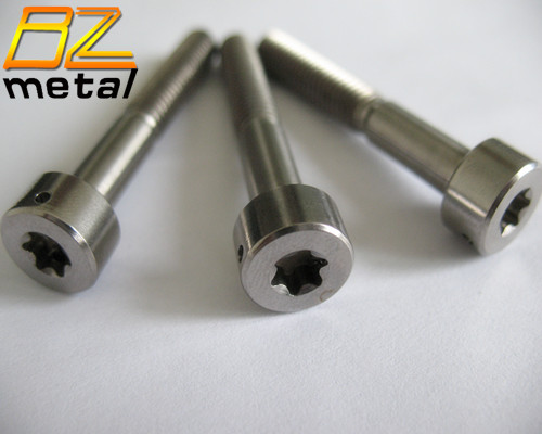 Allen Motorcycle GR5 Socket Titanium Torx Head Bolt