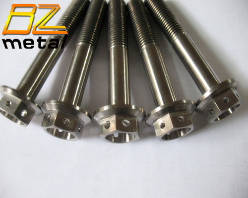 High Quality Titanium Hex Flange Head Bolt with Hole