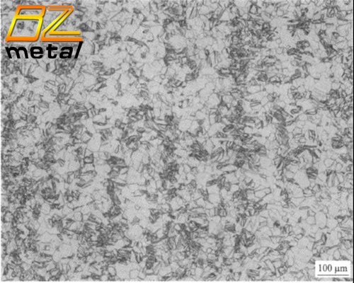 The microstructure of TA3 plate.jpg