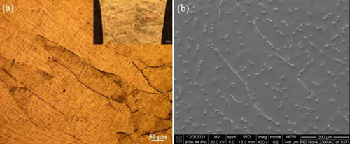 Ti180 Microstructure of the middle weld zone of electron beam welding joint.jpg