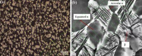 Ti180 Microstructure of base metal.jpg