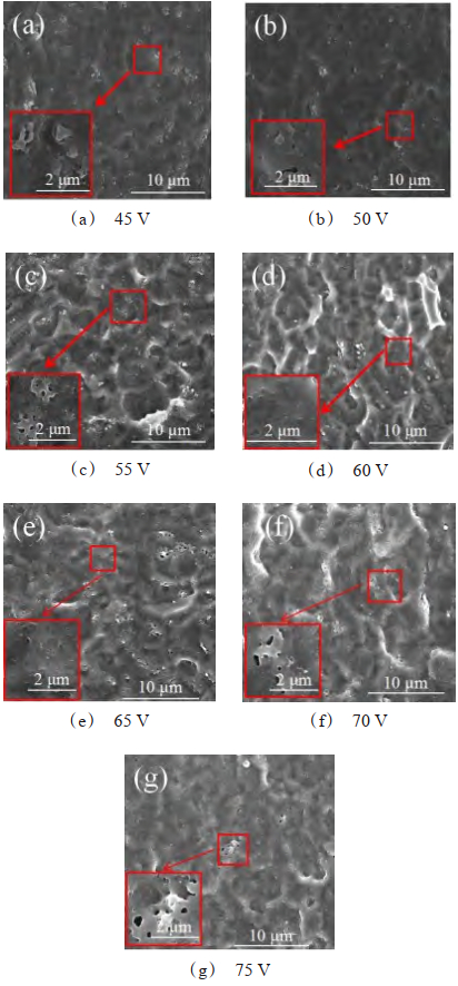Morphology of the film under different oxidation voltages.jpg