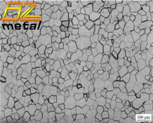 Annealed microstructure of TA1 plate at 650℃1h equiaxed α+ a small amount of intercrystalline β (dark).png