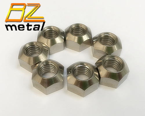 Customized Gr2 Titanium Hex Coupling Nut in High Quality
